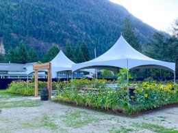 High Quality Rentals - Harrison Weddings