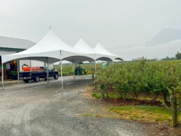 High Quality Rentals - Rosedale Events
