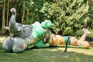 Bouncers & Inflatables Bouncers & Inflatables