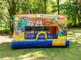 High Quality Rentals - Small Bouncer - Happy Birthday